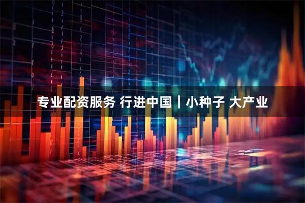 专业配资服务 行进中国｜小种子 大产业